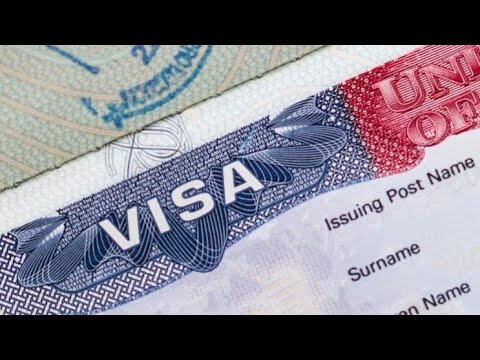 Requisitos para visa C1/D: Todo lo que necesitas saber