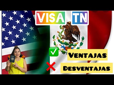 Requisitos de visa TN: Todo lo que debes saber